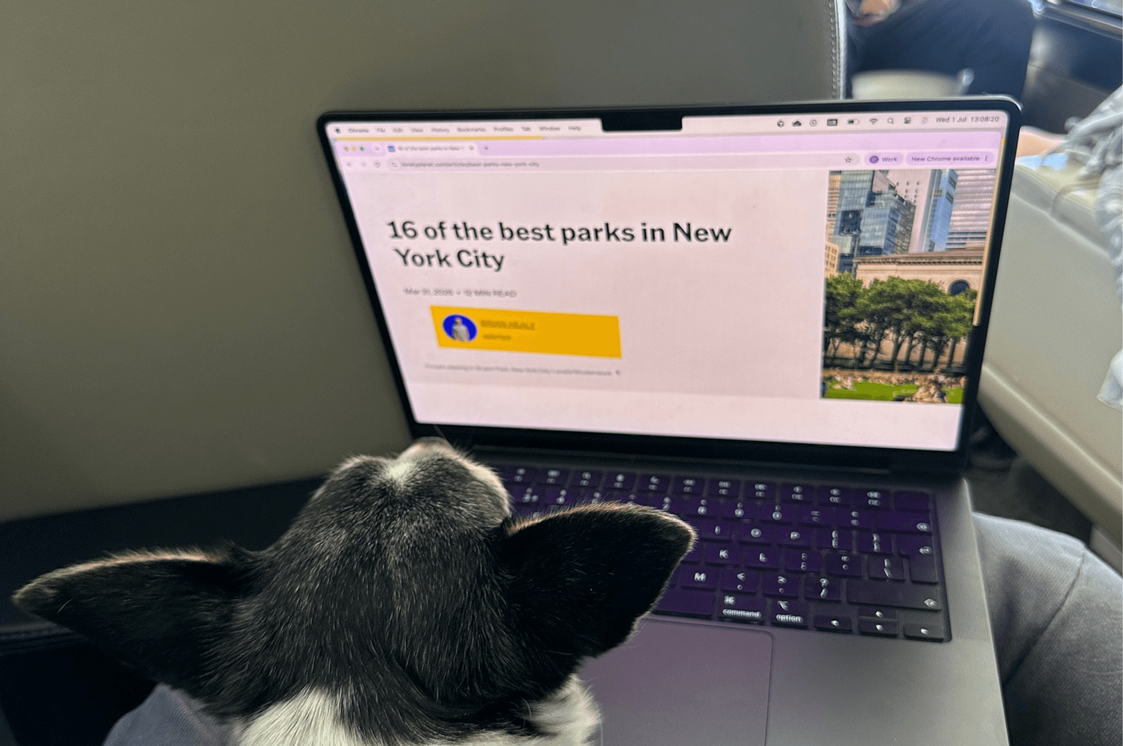 In-flight Starlink Wifi