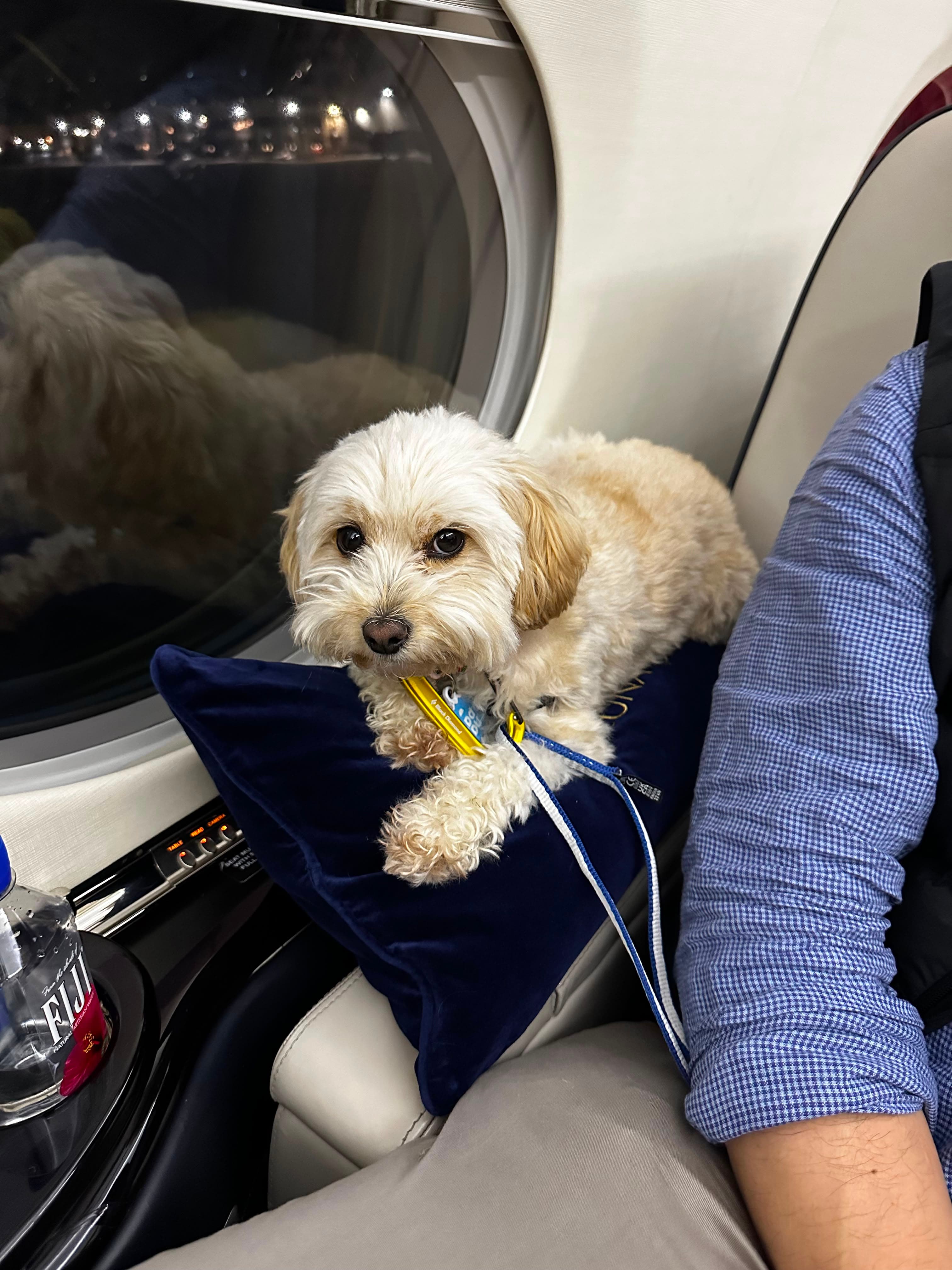 Flight Highlights: Five Flights, Five Days