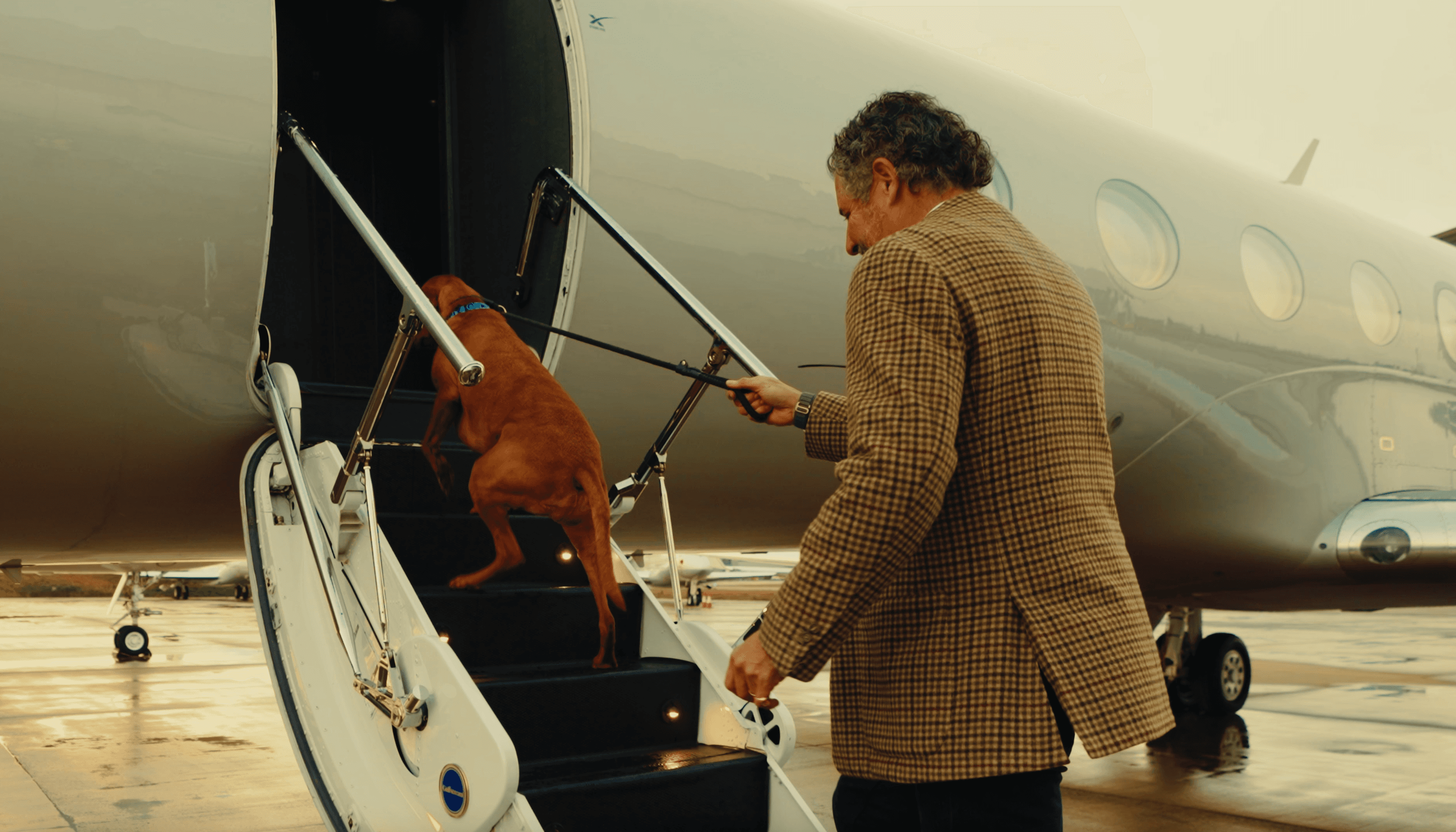 International Pet Relocation: How to Fly Your Pet Overseas