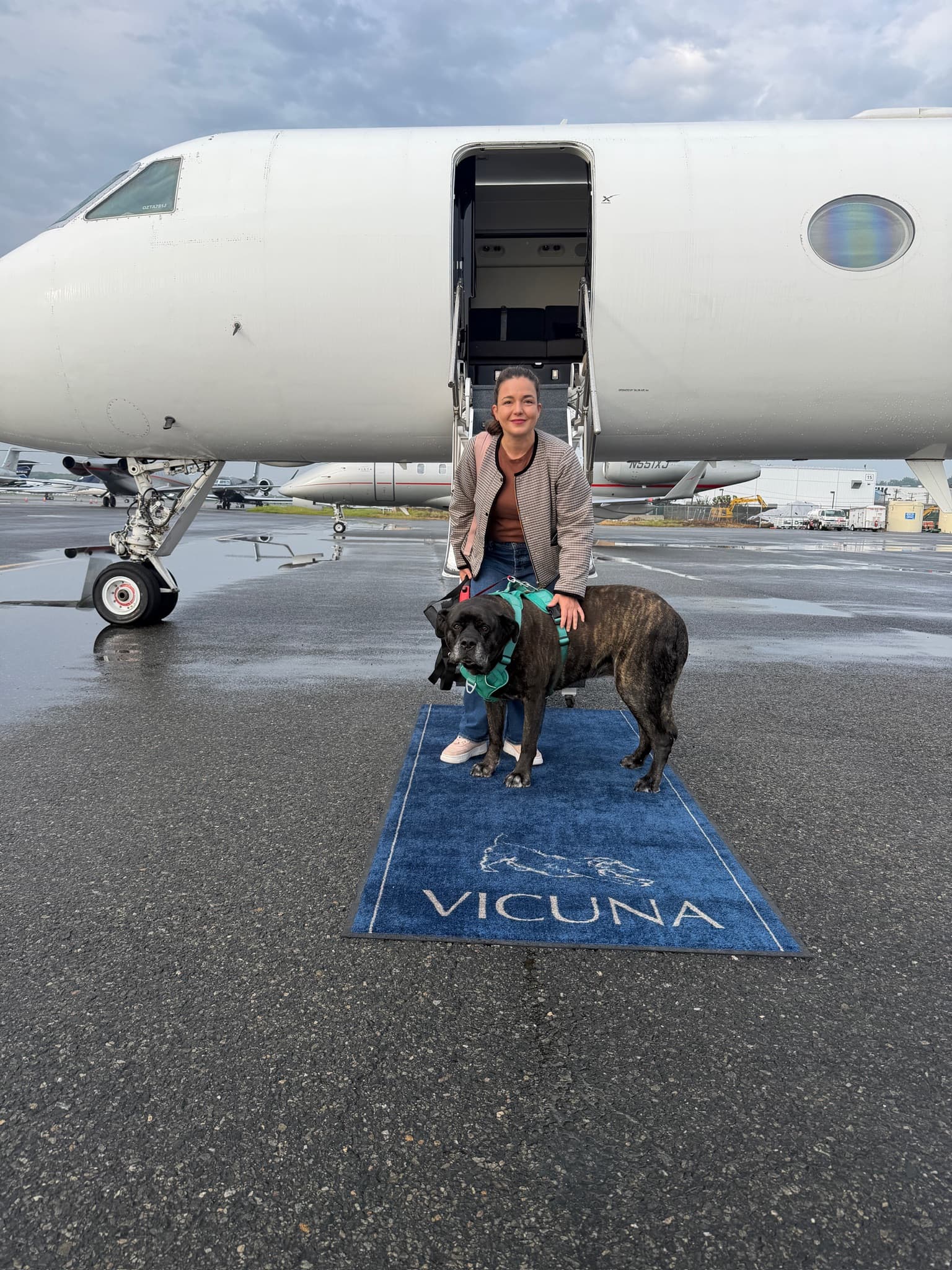 Adriana and Bailey’s journey: “I travelled overseas with a seventy-kilogram dog, and it was easy. That speaks for itself”
