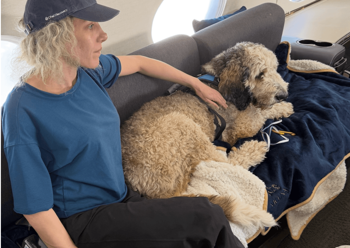 Why Pets Shouldn't Fly Cargo: What the Data Actually Reveals