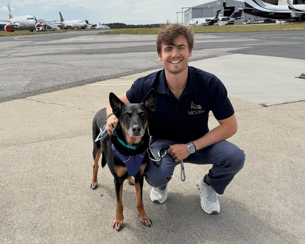 Can My Dog Fly Internationally Without Me? Solo Pet Travel Explained