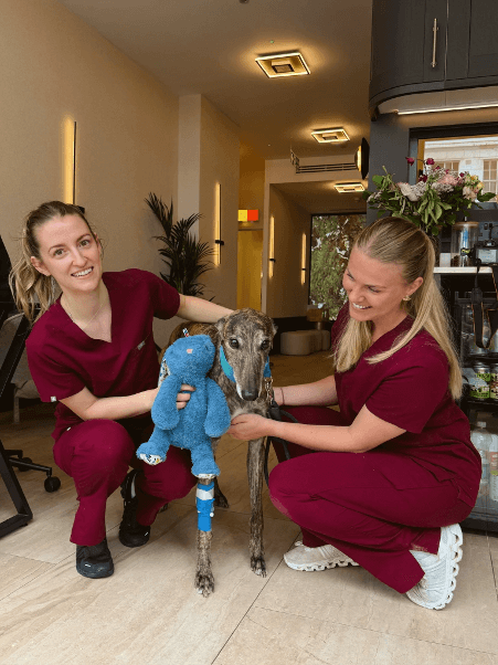 Virtue Vets
