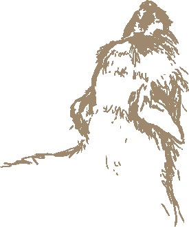 drawing of a dog stretching